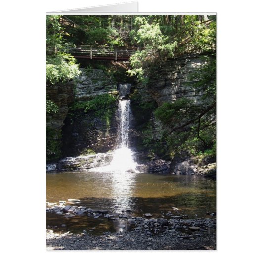 Deer Leap Falls, Childs park, Dingmans Ferry, Pa. Cards (Front)