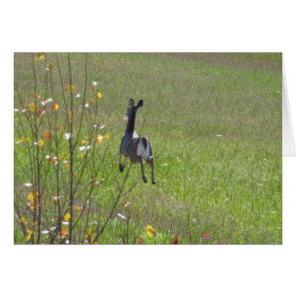 Deer leaping cards