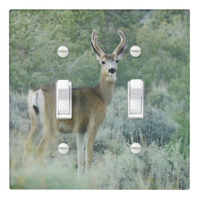 Deer Light Switch Cover (In Situ)