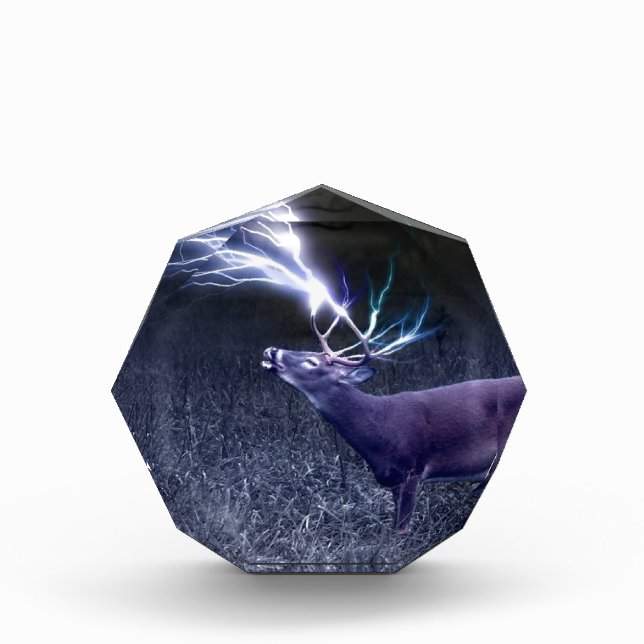 Deer Lightning Acrylic Award (Front)