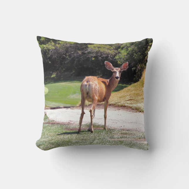 deer looking at camera photograph throw pillow (Front)