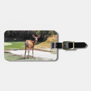 deer looking at the camera nature luggage tag