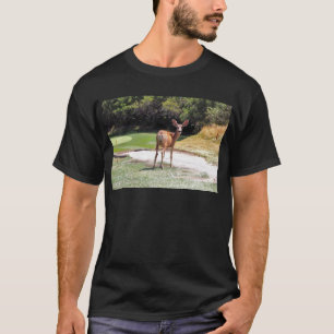 deer looking at the camera nature T-Shirt