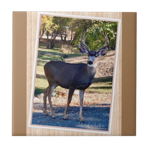 Deer Love Ceramic Tile