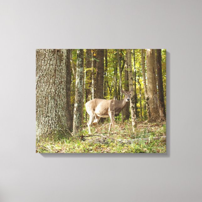 Deer Me Canvas Print (Front)