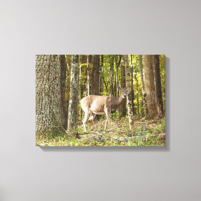 Deer Me Canvas Print (Front)