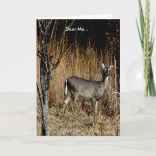 Deer Me Get Well Card Featuring a Beautiful Doe