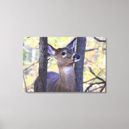 Deer Meeting in the Woods Canvas Print