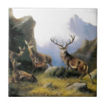 Deer Mountains Nature Wild Anomals Painting Ceramic Tile at Zazzle