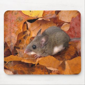 Deer mouse mousepad