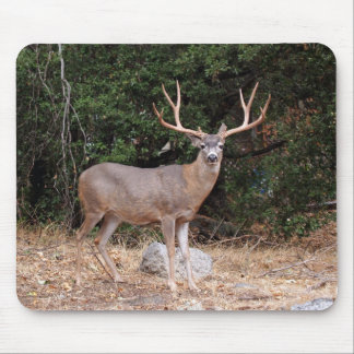 Deer Mousepad