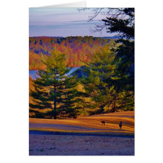Deer & Mt. Lake Cards (Front)