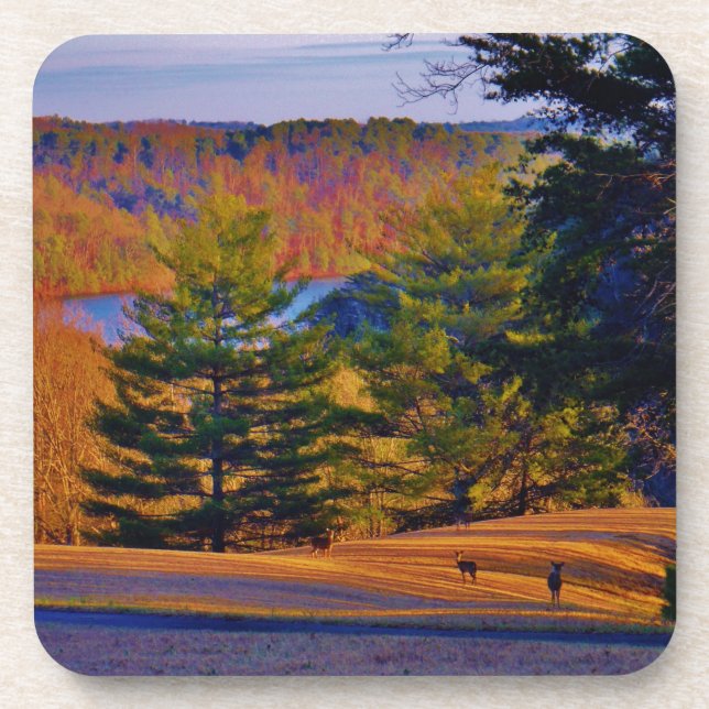 Deer & Mt. Lake Drink Coaster (Front)