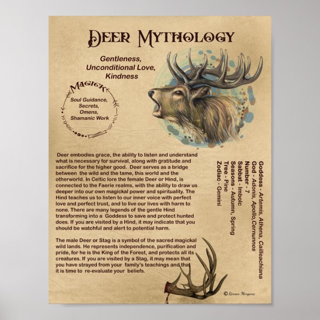 DEER MYTHOLOGY POSTER (Front)