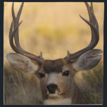 deer napkin<br><div class="desc">deer buck... Using amazing, unique, and high-quality images of wildlife and nature, WorldDesign is dedicated to creating fun and beautiful products for people to enjoy, share, and promote as gifts. We are a Zazzle Elite ProSeller and own the copyright to all the images presented and ALL of our products are...</div>