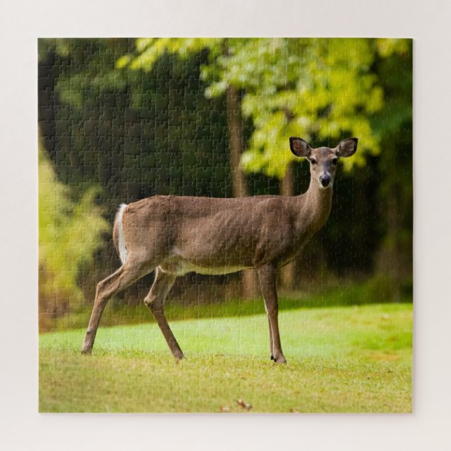 Deer on Golf Course Jigsaw Puzzle (Vertical)