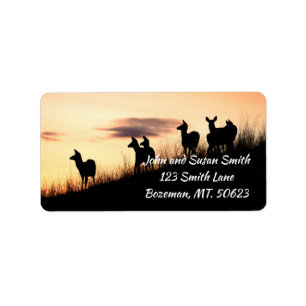 Deer on Hillside at Sunset Address Label