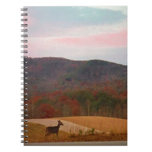 Deer on sunset golf course notebook