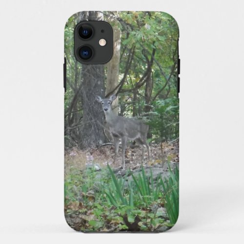 Deer on the Edge of the Woods iPhone 11 Case