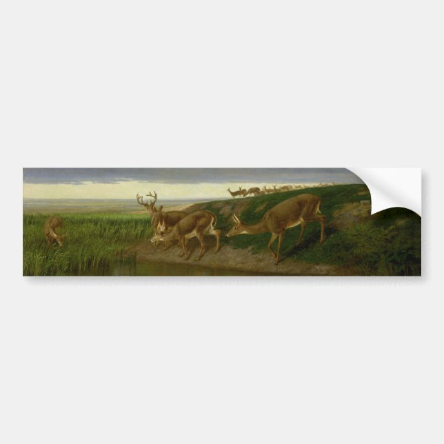 Deer on the Prairie (by William Holbrook Beard) Bumper Sticker (Front)