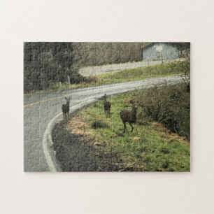 Deer on the Road, Cape Disappointment, WA Jigsaw Puzzle