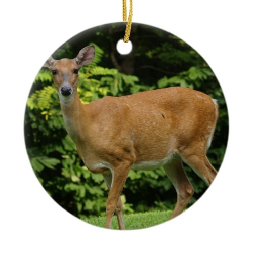Deer Ornament