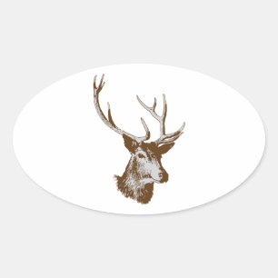 Deer Oval Sticker