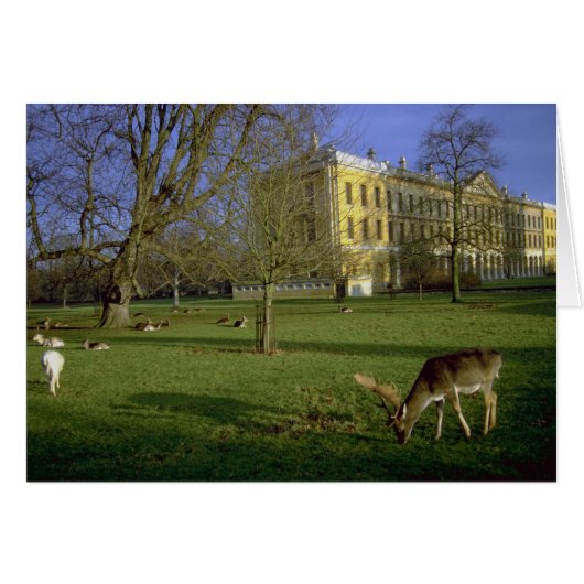 Deer park, Magdalen College, Oxford, U.K. (Front Horizontal)