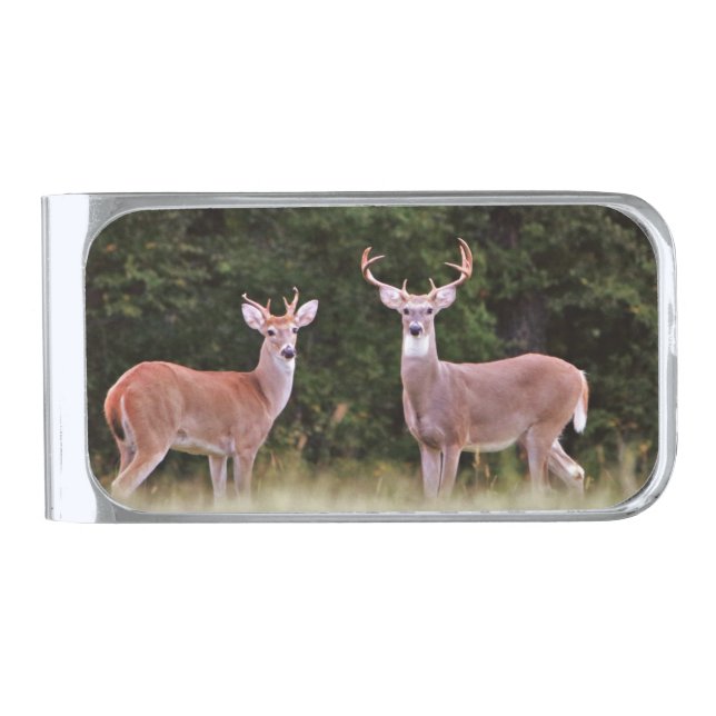  Deer Photo Hunter Sportsman Silver Finish Money Clip (Front)