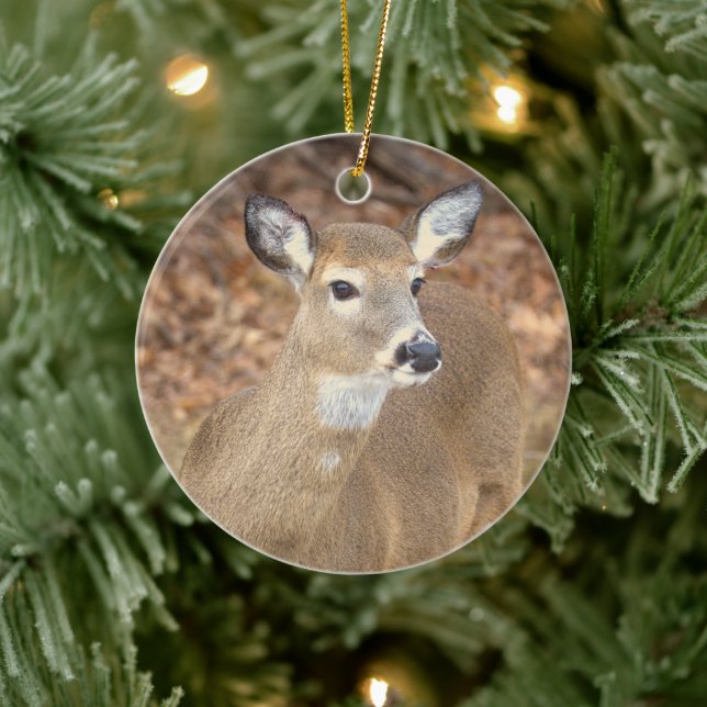 Deer Photo Ornament  (Tree)