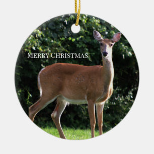 Deer Photo Ornament