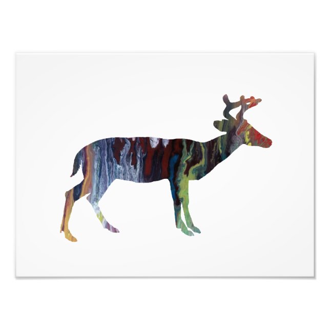 Deer Photo Print (Front)