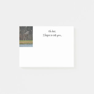 Deer Photo Reminder Post-it Notes