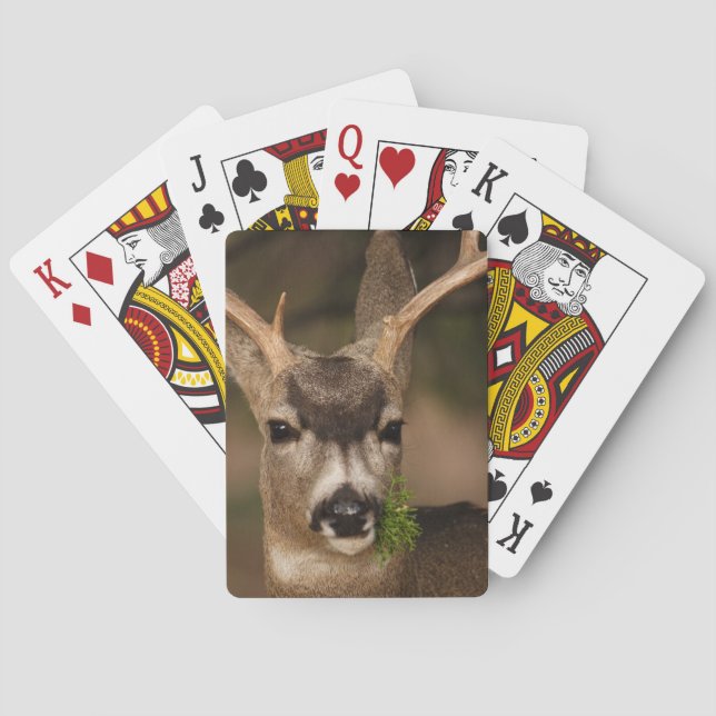 deer poker cards (Back)