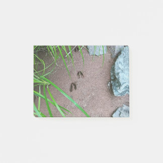 Deer print hoof footprint wildlife Notes