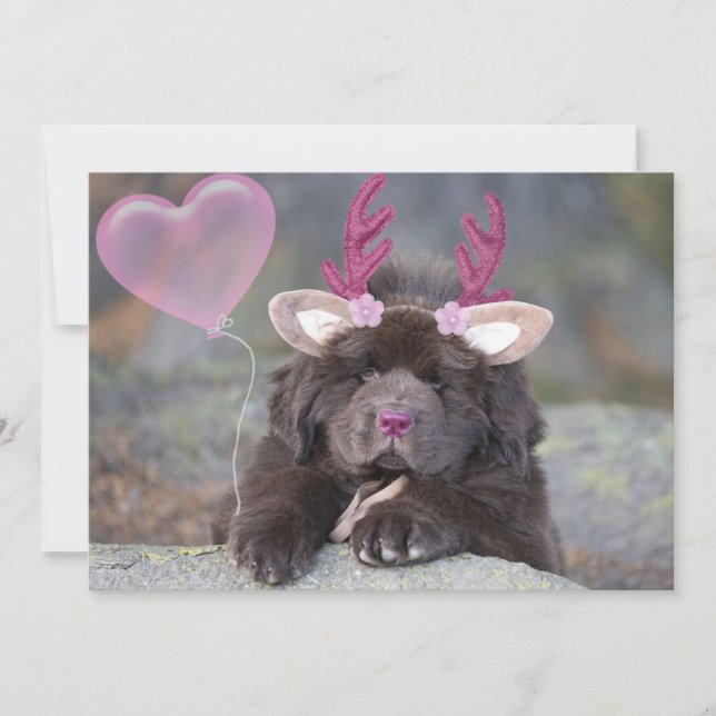 Deer Puppy Valentine Holiday Card (Front)