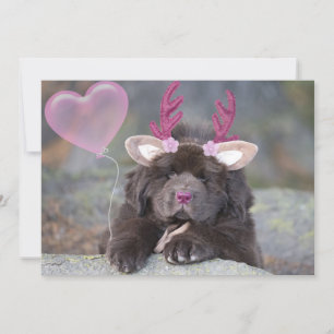 Deer Puppy Valentine Holiday Card