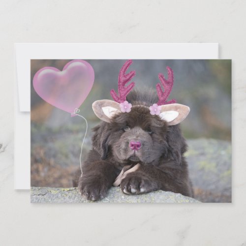 Deer Puppy Valentine Holiday Card