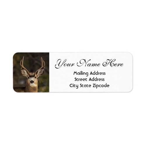 Deer Return Address Label