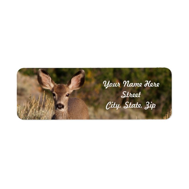 Deer Return Address Sticker (Front)