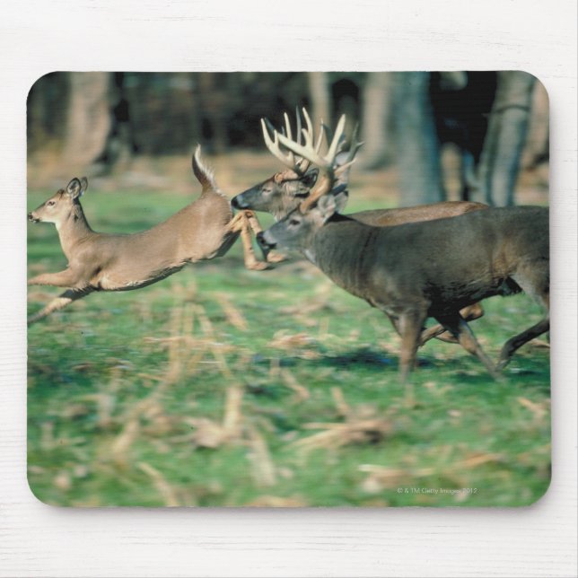 Deer running in forest mouse pad (Front)