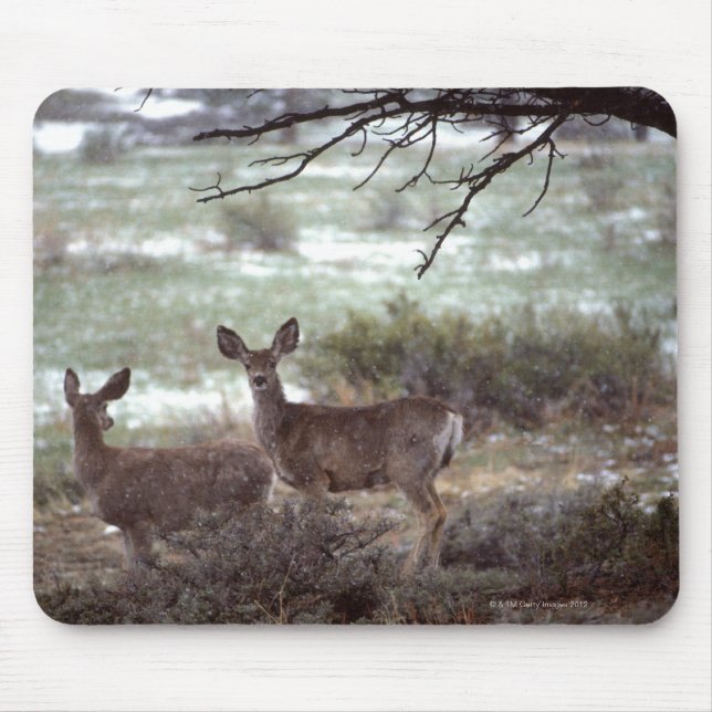 Deer running mouse pad (Front)