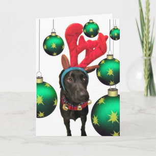Deer Santa Holiday Card