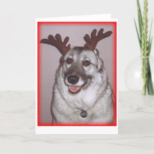 Deer Savannah with red Holiday Card