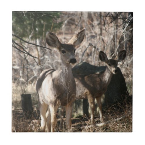 Deer saying hello ceramic tile