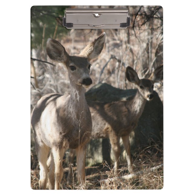 Deer saying hello clipboard (Front)