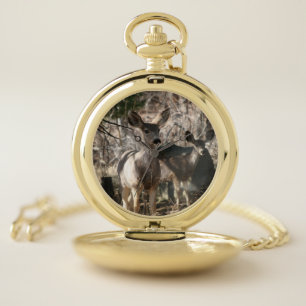 Deer saying hello pocket watch