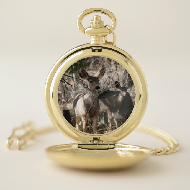 Deer saying hello pocket watch (Inside)