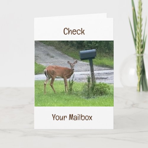 DEER SAYS CHECK YOUR MAILBOX BIRTHDAY CARD