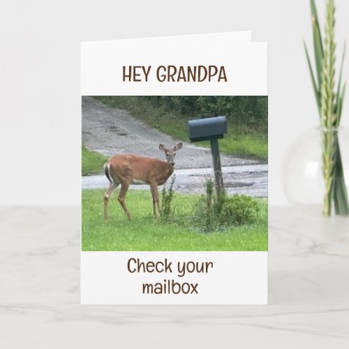 DEER SAYS GRANDPA CHECK YOUR MAILBOX BIRTHDAY CARD